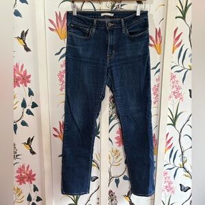 Levi's Dark Blue Skinny Jeans